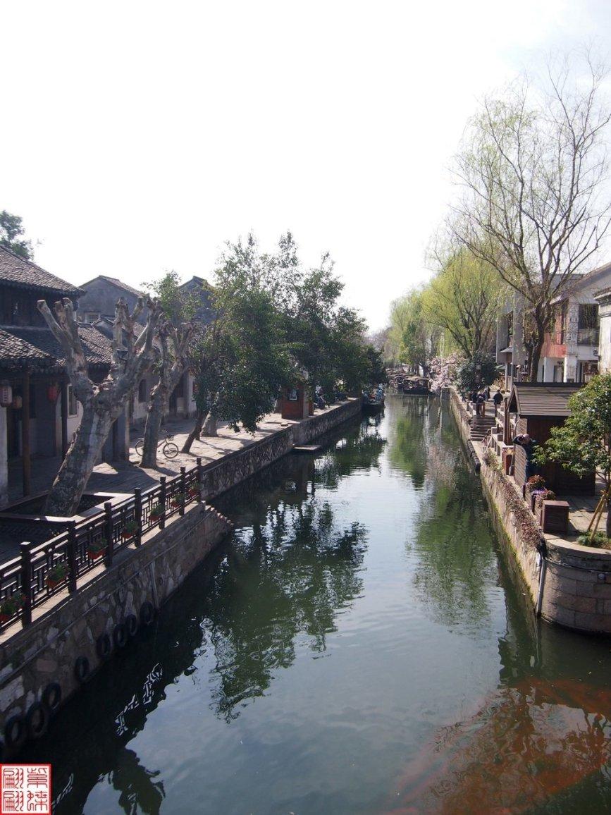 QQ企鹅